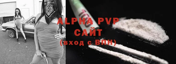 стаф Анжеро-Судженск