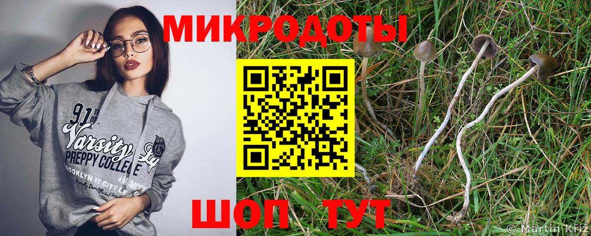 Псилоцибиновые грибы мухоморы  где можно купить наркотик  Псилоцибиновые грибы мицелий  Орск  Вход с VPN 