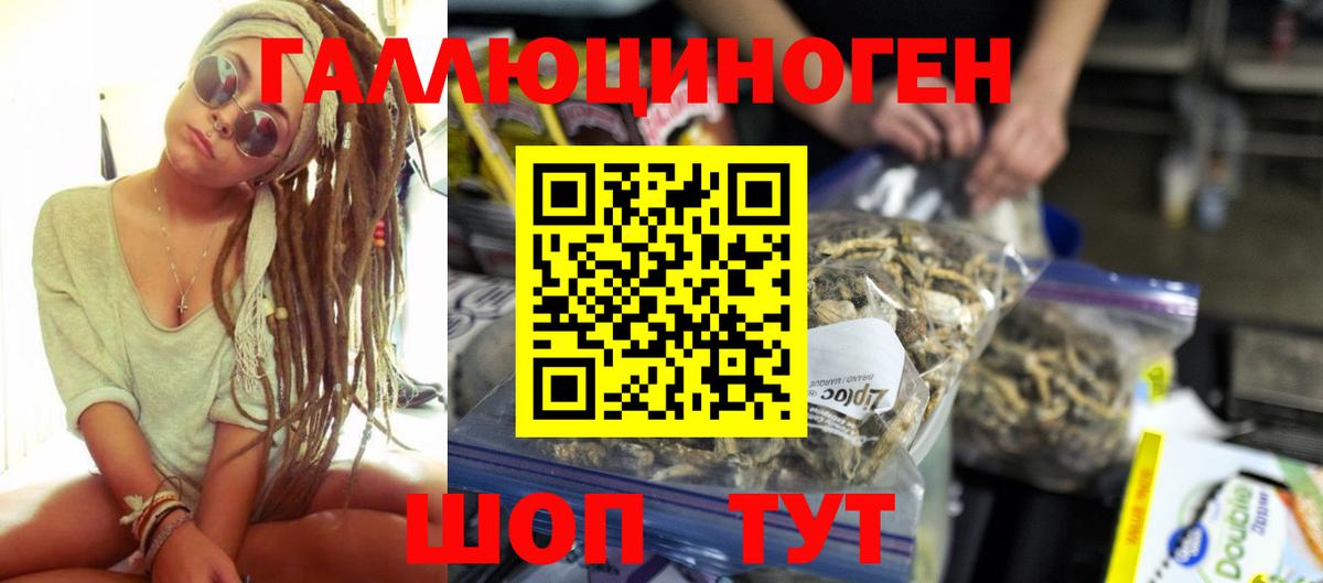 закладка  Орск  Псилоцибиновые грибы MAGIC MUSHROOMS 